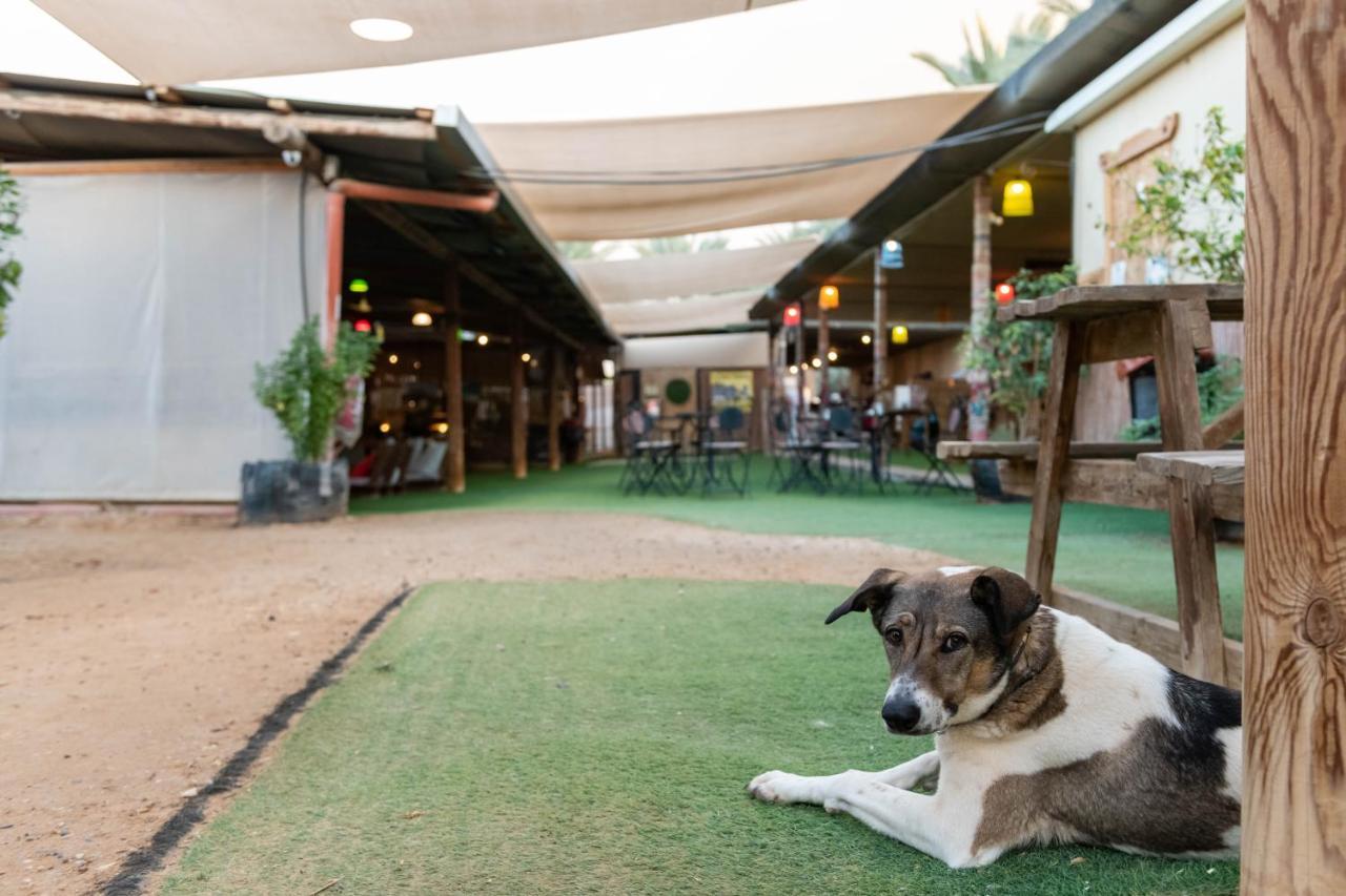 Ras Hasita Hotel Hazeva ภายนอก รูปภาพ
